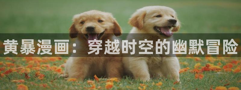 bl漫画哪个软件：黄暴漫画：穿越时空的幽默冒险